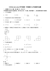 江漢區(qū)2023-2024學年度上學期期末七年級數(shù)學試卷（word版含答案）