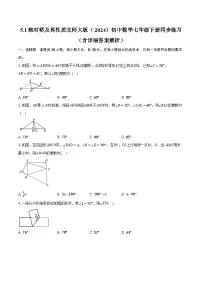 初中数学北师大版（2024）七年级下册（2024）第五章 图形的轴对称1 轴对称及其性质优秀课时训练
