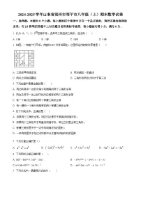 山东省滨州市邹平市2024-2025学年八年级上学期期末数学试卷(原卷版+解析版)