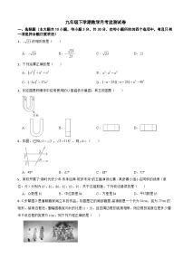 四川省广元市2025年九年级下学期数学月考监测试卷含答案