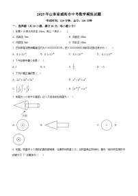 2025年山东省威海市中考数学模拟试题（原卷版+解析版）