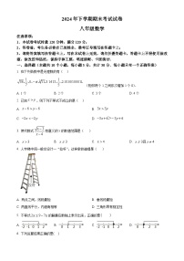 湖南省邵阳市武冈市2024-2025学年八年级上学期1月期末数学试题（原卷版+解析版）
