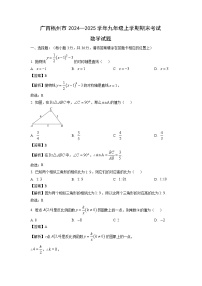 廣西梧州市2024—2025學年九年級上學期期末考試數(shù)學試卷（解析版）