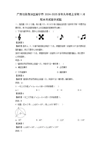 广西壮族自治区南宁市2024-2025学年九年级上学期1月期末考试数学试卷（解析版）