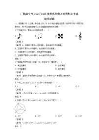 广西南宁市2024-2025学年九年级上学期期末考试数学试卷(解析版)