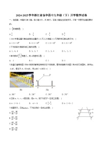 浙江省金华市第四中学2024-2025学年下学期九年级开学 数学试卷（含解析）