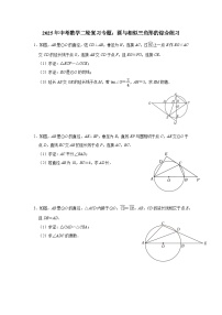 2025年中考数学二轮复习专题：圆与相似三角形的综合练习docx