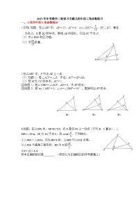 2025年中考数学二轮复习专题几何中的三角函数练习