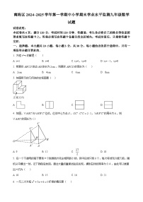 广东省佛山市南海区2024—2025学年上学期期末监测九年级数学试卷（原卷版+解析版）