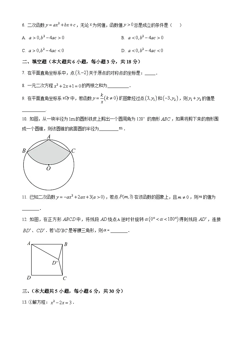 江西省赣州市瑞金市2024—2025学年上学期期末考试九年级数学试题(原卷版+解析版)第2页