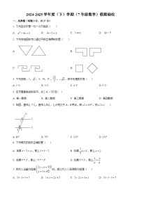 黑龙江省哈尔滨市松雷中学2024—2025学年七年级下学期数学开学考试试卷（原卷版+解析版）
