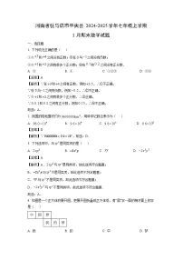 2024~2025学年河南省驻马店市平舆县七年级上学期1月期末数学试卷（解析版）