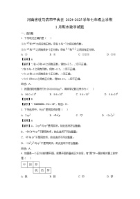 2024~2025学年河南省驻马店市平舆县七年级上学期1月期末 (2)数学试卷（解析版）