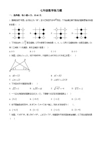 山东省泰安市岱岳区2024-2025学年七年级上学期期末考试数学试卷（原卷版+解析版）