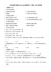 上海市建平中学西校2024-2025学年下学期第一次月考九年级数学试卷（原卷版+解析版）