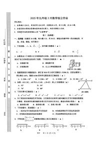 2025年浙江省浙派联盟九年级一模数学试卷（附参考答案）