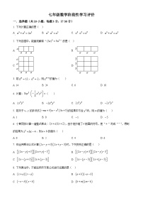 江苏省镇江市宜城中学教育集团五校联考2024-2025学年七年级下学期3月月考数学试题(原卷版+解析版)