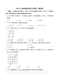 2025年上海市浦东新区中考数学一模试卷