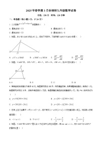 江苏省盐城市盐城经济技术开发区2024-2025学年九年级下学期3月月考数学试题（原卷版+解析版）