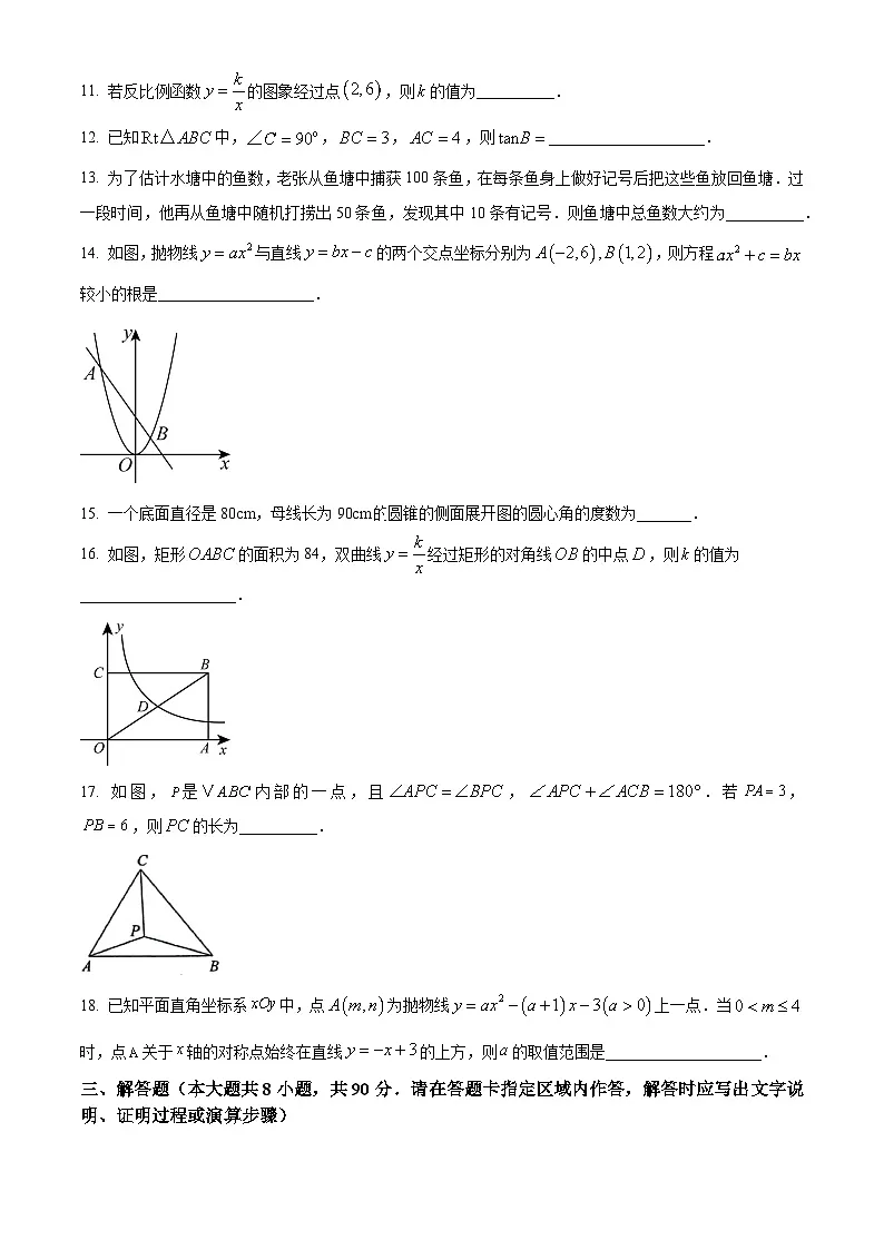 江苏省南通市如东县2024-2025学年九年级上学期1月期末考试数学试卷(原卷版+解析版)第3页