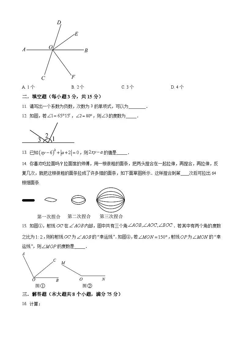 河南省南阳市镇平县2024-2025学年七年级上学期1月期末考试数学试题 (原卷版+解析版)第3页