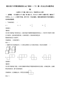 重庆市育才中学教育集团2024-2025学年七年级下学期第一次月考 数学试题（含解析）