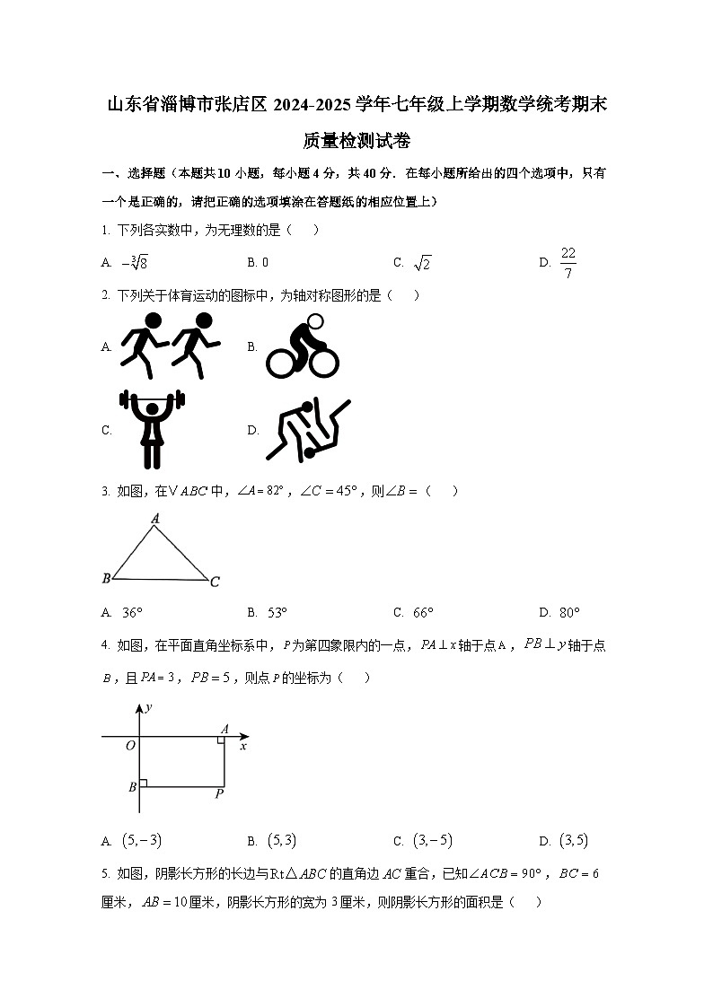 山东省淄博市张店区2024-2025学年七年级上册数学统考期末质量检测试卷(附答案)第1页