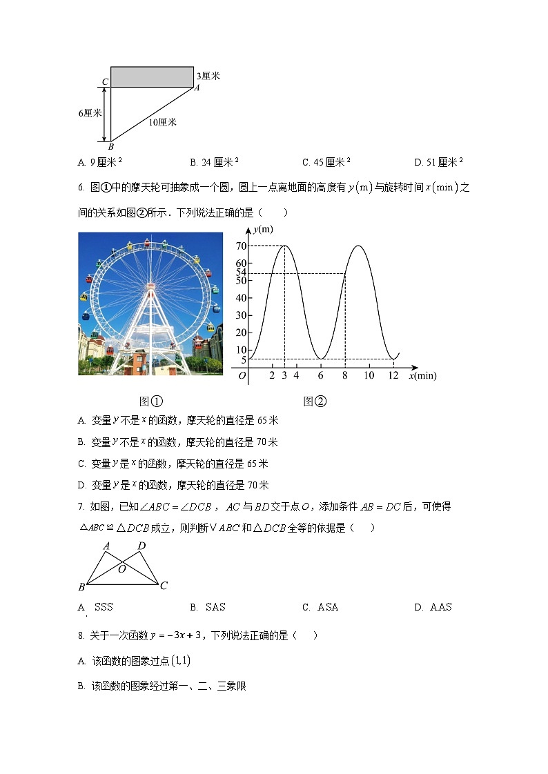 山东省淄博市张店区2024-2025学年七年级上册数学统考期末质量检测试卷(附答案)第2页