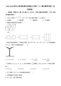 山东省淄博市高青县2023-2024学年九年级上学期期末数学试题（解析版）