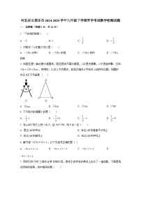 河北省石家庄市2024-2025学年九年级下册开学考试数学学情检测试题（附答案）