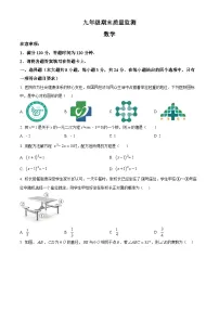 陕西省安康市旬阳县2024-2025学年九年级上学期1月期末数学试题(原卷版+解析版)