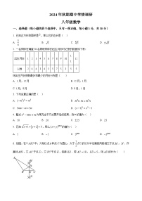 河南省南阳市桐柏县2024-2025学年八年级上学期1月期末数学试题（原卷版+解析版）