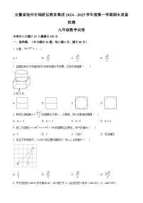 安徽省宿州市埇桥区2024-2025学年九年级上学期1月期末考试数学试题（原卷版+解析版）