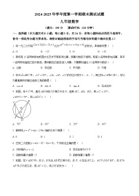 江苏省扬州市宝应县2024-2025学年九年级上学期期末测试数学试卷（原卷版+解析版）