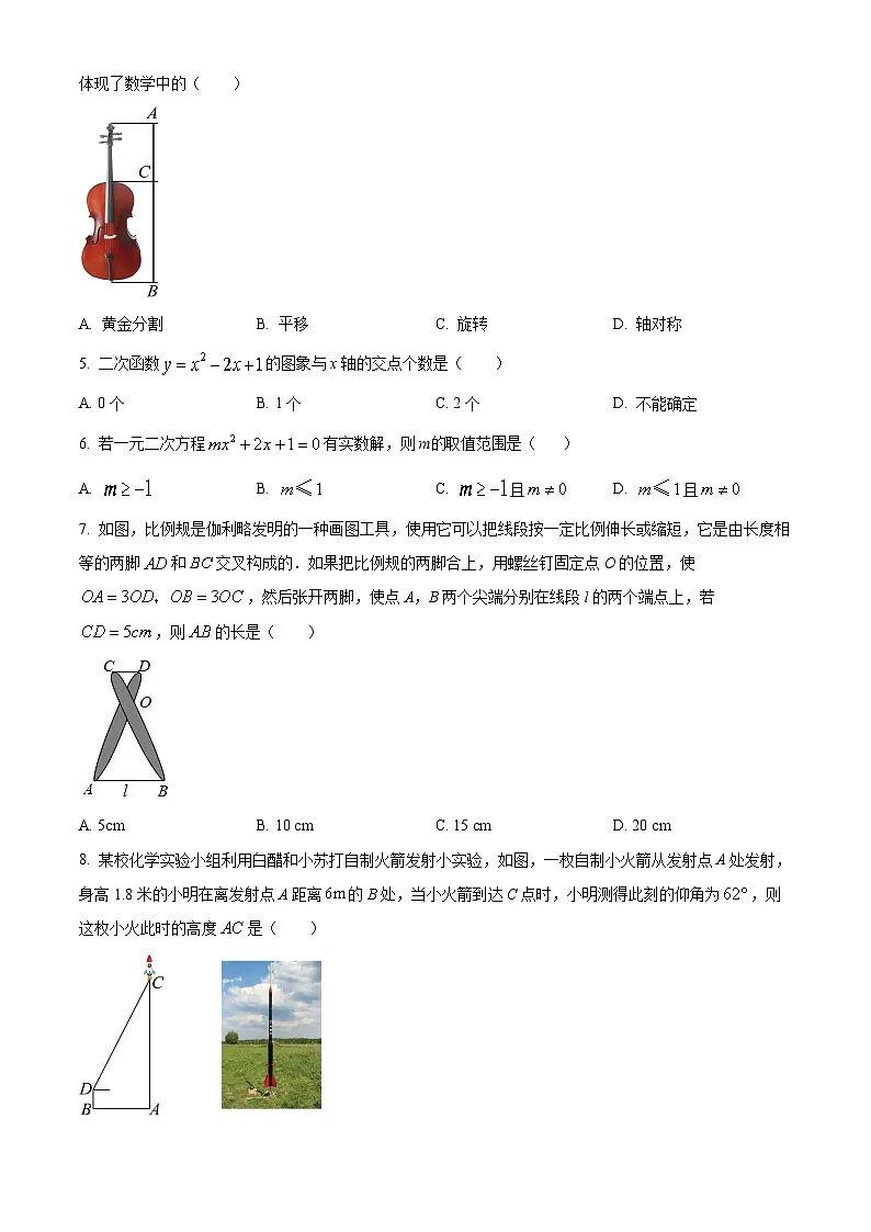 山西省晋中市左权县2024-2025学年九年级上学期1月期末考试数学试题(原卷版+解析版)第2页
