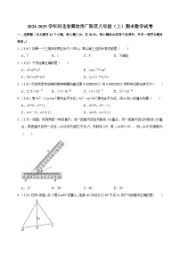 2024-2025学年河北省廊坊市广阳区八年级（上）期末数学试卷（含详解）