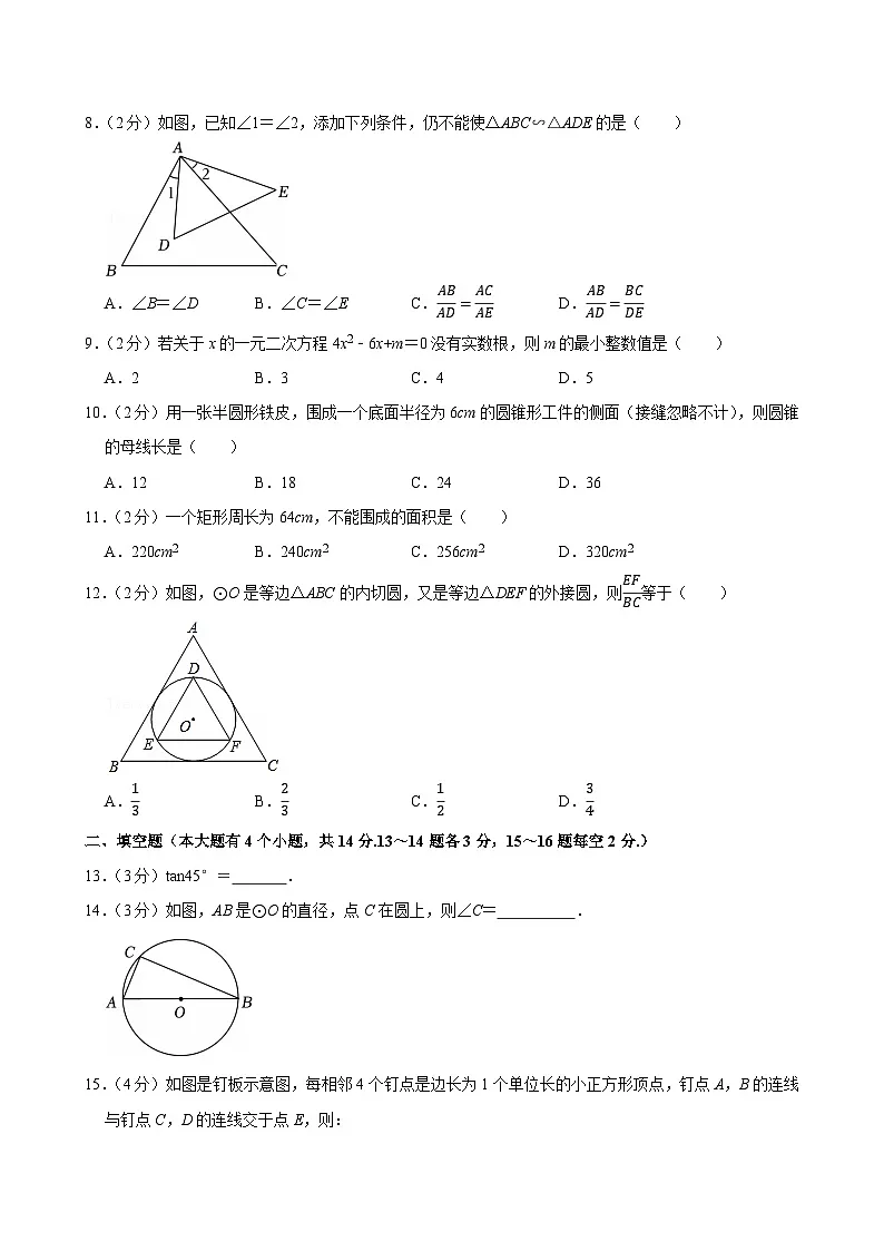 2024-2025学年河北省唐山市路北区九年级(上)期末数学试卷(含详解)第2页