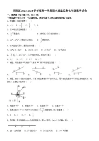 汉阳区2023-2024学年度上学期期末七年级数学试卷(word版含答案)