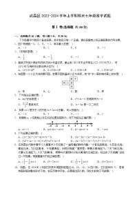 武昌区2023-2024学年上学期期末七年级数学试题（word版含答案）