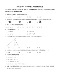 武昌区2024-2025学年上学期期末八年级数学试卷（word版含部分解析）