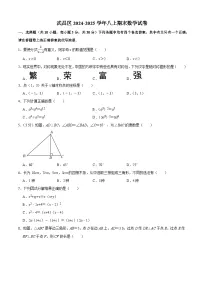 武昌区2024-2025学年上学期期末八年级数学试卷（word版含部分解析）
