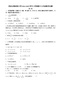 武昌区粮道街中学2024-2025学年上学期期中七年级数学试题（word版含答案）