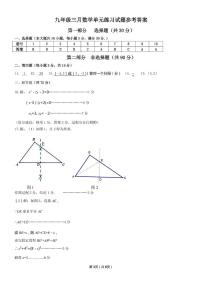 广东中山共进联盟2024-2025学年九年级下学期3月月考数学试题+答案