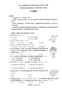 浙江创新教育初中协作体2024-2025学年七年级下学期3月创新素养与创新思维水平考察数学试题+答案