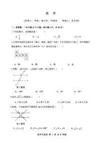 重庆市鲁能巴蜀中学校2024—2025学年七年级下学期第一次月考数学试题