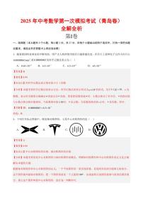 2025中考数学一模试卷(青岛卷)(全解全析)