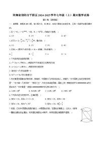 河南省信阳市平桥区2024-2025学年七年级(上)期末数学试卷