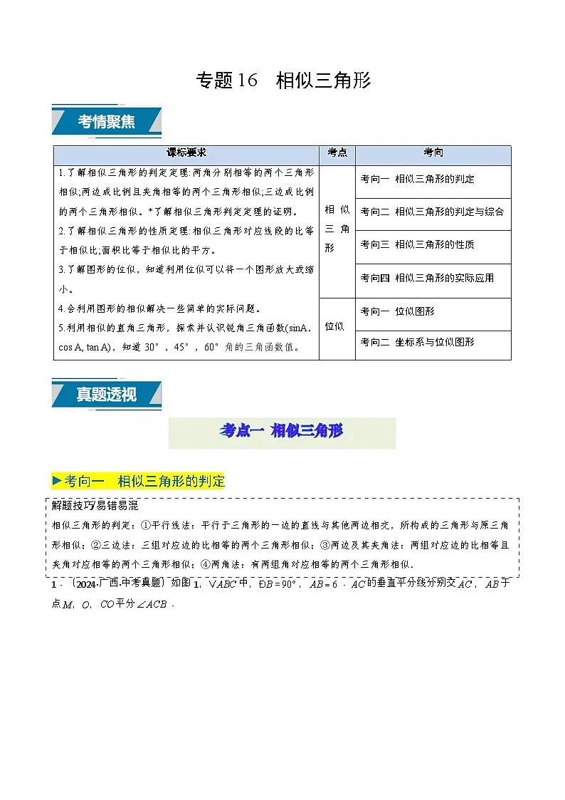 备战2025年中考数学真题题源解密(全国通用)专题16 相似三角形(解析版)第1页