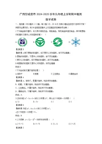 广西防城港市2024-2025学年九年级上学期期中检测数学试卷（解析版）