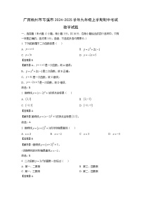 广西梧州市岑溪市2024-2025学年九年级上学期期中考试数学试卷（解析版）